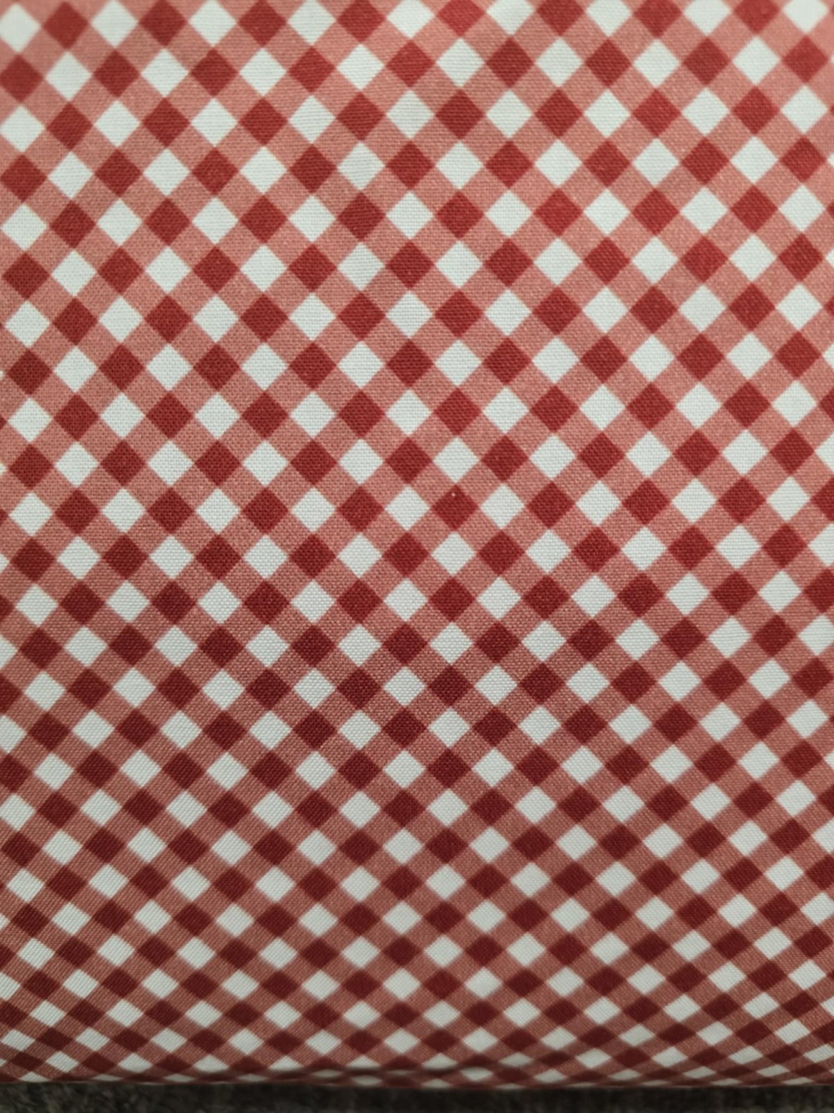 South Dakota Words - Sweet Gingham - Red