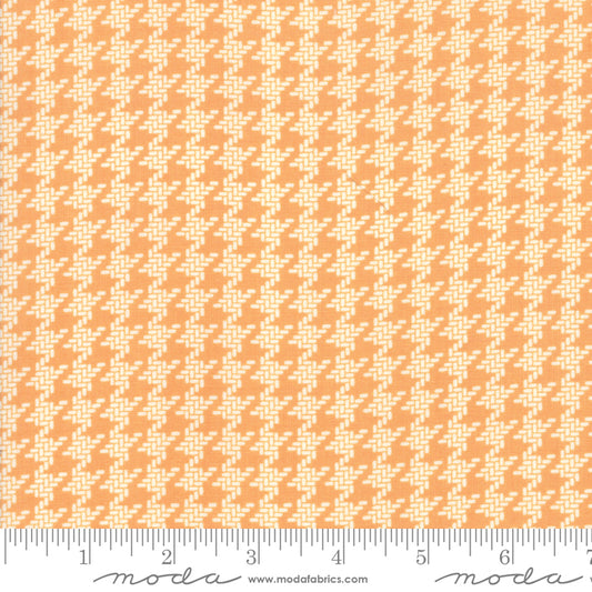 All Hallows Eve - Pumpkin