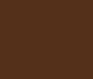 Polyester 40wt 1100yd 122P-5551 - Brown