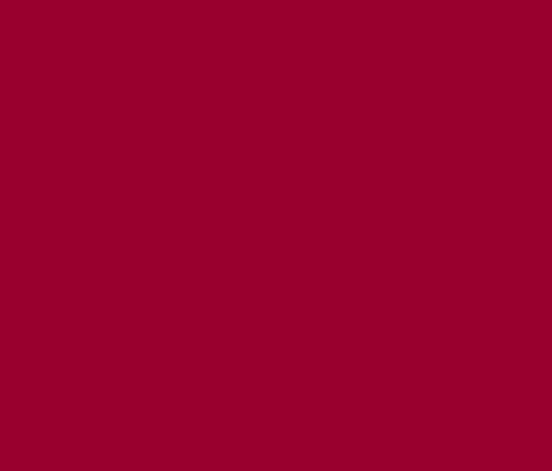 Polyester 40wt 1100yd 122P-5568 - Carolina Red