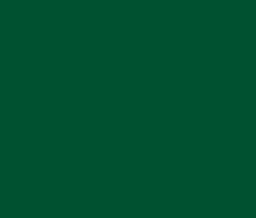 Polyester 40wt 1100yd 122P-5615 - Evergreen