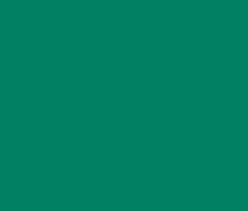 Polyester 40wt 1100yd 122P-5812 - Irish Green