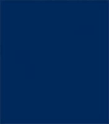 Sew-All Poly 273yd  * 250-272 - Navy