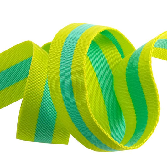 Web 1.5" Lime/Bright Aqua - Tula Pink