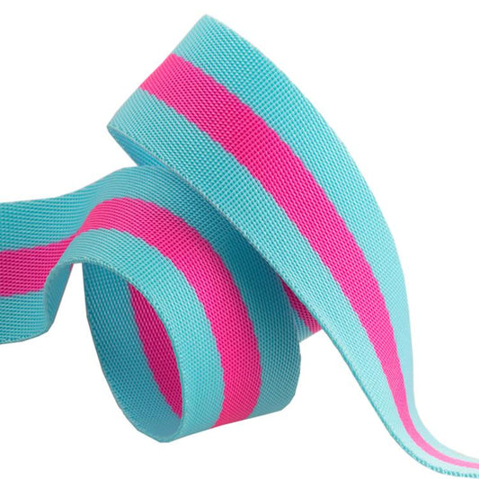 Web 1.5" Aqua/Hot Pink - Tula Pink